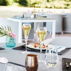 CHEF & SOMMELIER Flûte verre cristallin 20 cl Open Up Hot