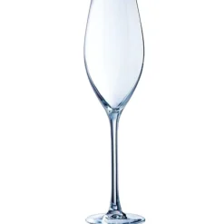 CRISTAL D'ARQUES Flûte verre cristallin 24 cl Wine Emotion Hot