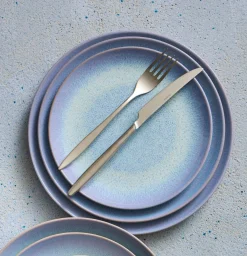 PRO.MUNDI Fourchette de table inox 18/10 20,3 cm Orenok New