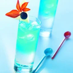 Gobelet forme haute verre 22 cl Islande - ARCOROC Online