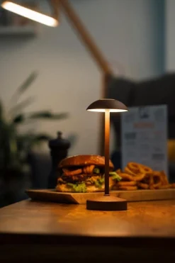 APS Lampe led brun Ø 7,5 cm 20,5 cm Alva Discount