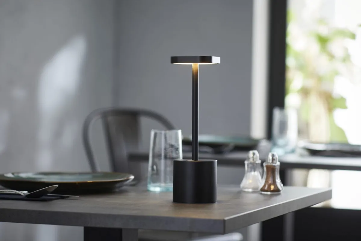 Lampe à led noir 26 cm Swan 2 - PRO.MUNDI Best