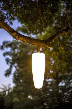 PARANOCTA Lampe sans fil Bulbee or Best