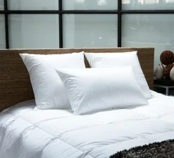 EDONA Oreiller rectangulaire 80x50 cm coton Confort Absolu