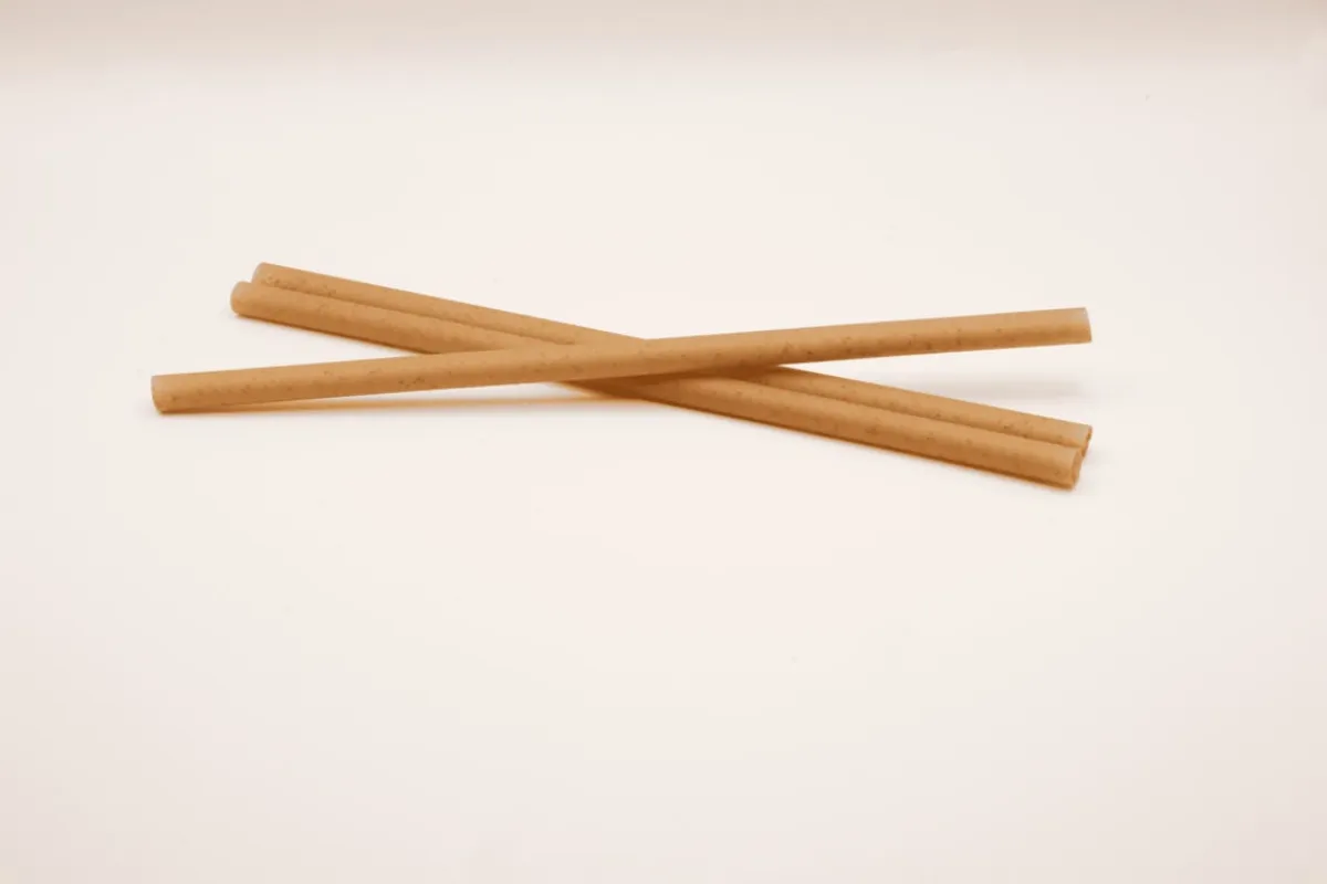 Pailles bagasse Ø 0,8 cm 21 cm (300 pièces) - Les nouvelles pailles Sale