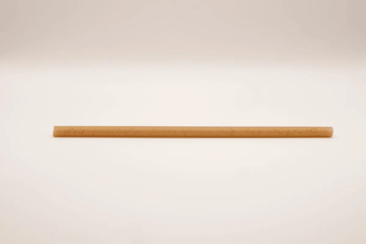 Pailles bagasse Ø 0,8 cm 21 cm (300 pièces) - Les nouvelles pailles Sale
