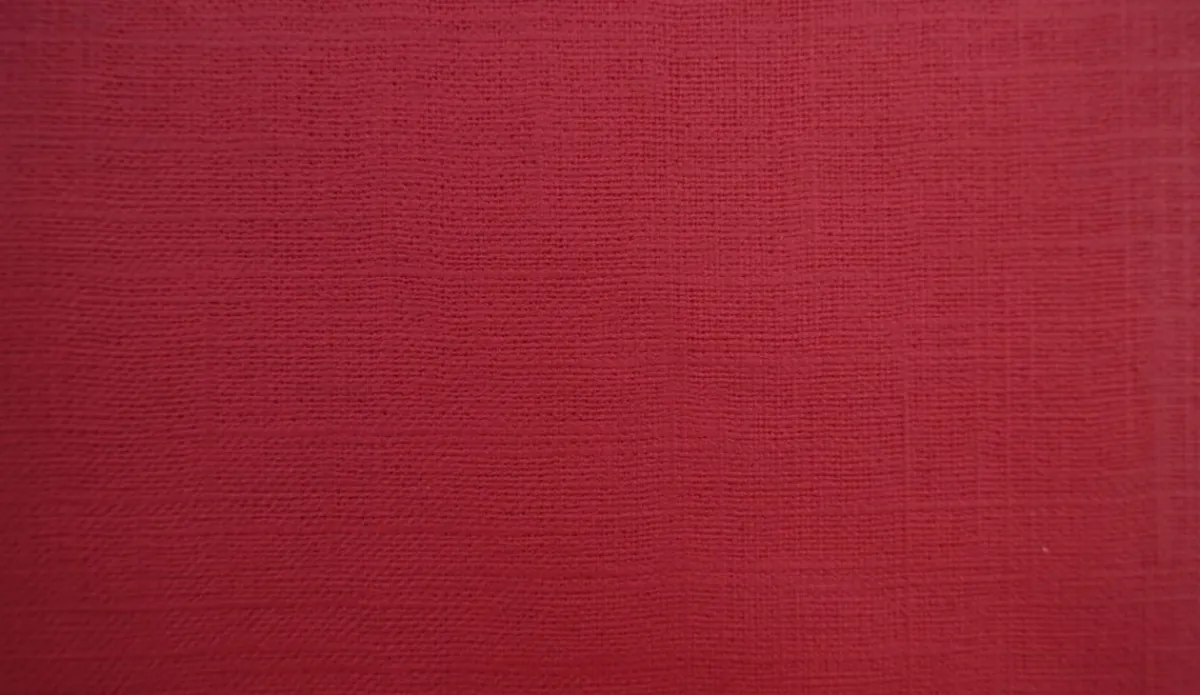 SONOLYS Panière rond rouge PVC Ø 20 cm Sonoclean Best