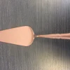Pelle à tarte bronze inox 18/10 22,7 cm Settecento - PINTINOX Outlet