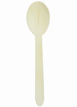 EARTH ESSENTIALS Petite cuillère (100 pièces) Online