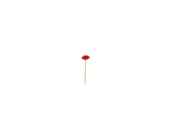 EARTH ESSENTIALS Pic bouche 7 cm Oxstal (2000 pièces) Discount