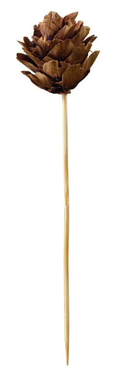 EARTH ESSENTIALS Pic pomme 12 cm Oxstal (1000 pièces) Sale