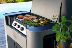 Plancha à gaz gaz 6,9 kW Exclusive 375 - LE MARQUIER New