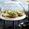 REVOL Plateau avec bord résine Mealplak Sale