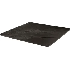 FLEXMOB Plateau de table 65x65x1,2 cm Compact_easy2 Best