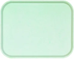 PLATEX Plateau polyester vert 46x36 cm Poly One Best