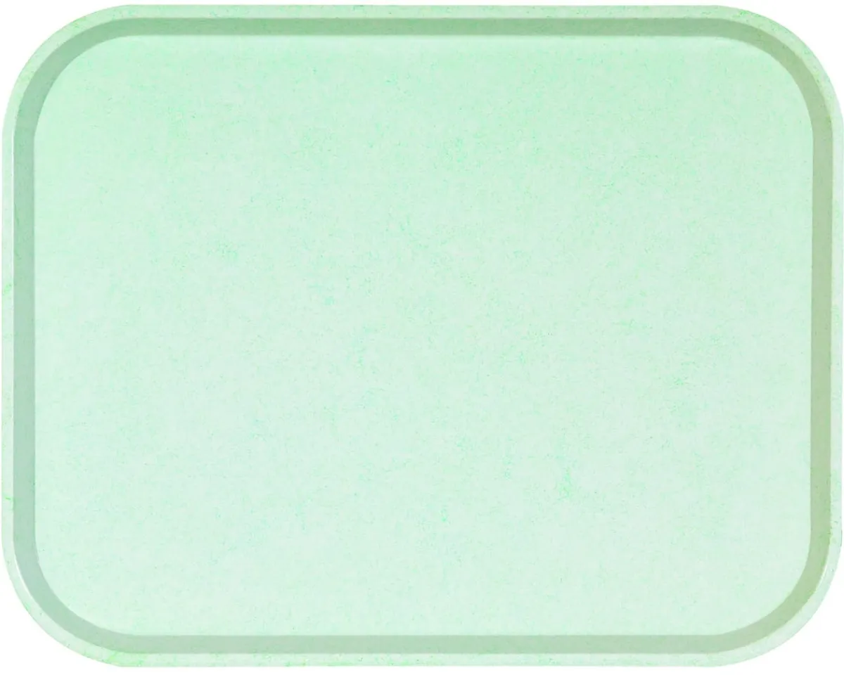 PLATEX Plateau polyester vert 46x36 cm Poly One Best
