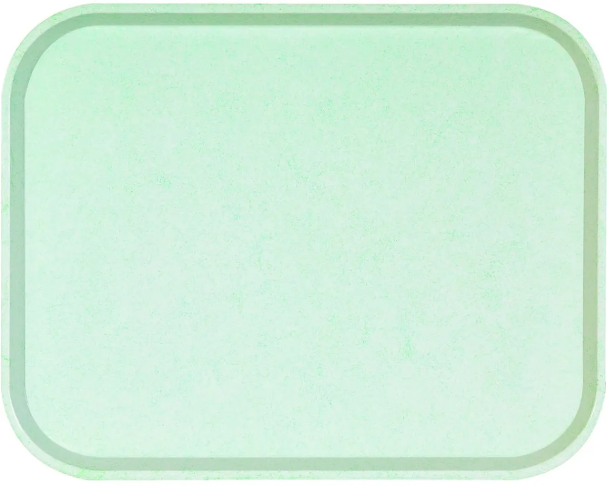 Plateau polyester vert 41x30 cm Poly One - PLATEX Best