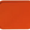 PLATEX Plateau stratifié GN1/2 bois orange 32,5x26,5 cm Online