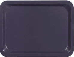 Plateau stratifié GN1/2 bois violet 32,5x26,5 cm - PLATEX Online