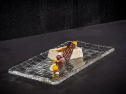 APS Plateau sushi verre 26x13x1,5 cm Takashi Outlet