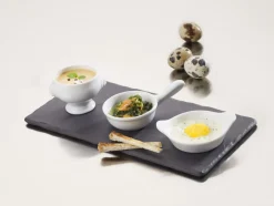 Plat rectangulaire noir porcelaine culinaire 25x12 cm Basalt - REVOL New