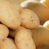 DITO SAMA éplucheur légumes sur pied T15E 15 kg 370 W 230v Best