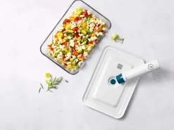 Pompe sous-vide avec socle Ø 4 cm 19 cm Fresh & Save - ZWILLING Discount