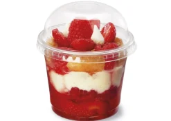 Pot rond transparent Ø 8,5 cm 6,6 cm 20 cl Servipack (50 pièces) - ALPHAFORM Outlet