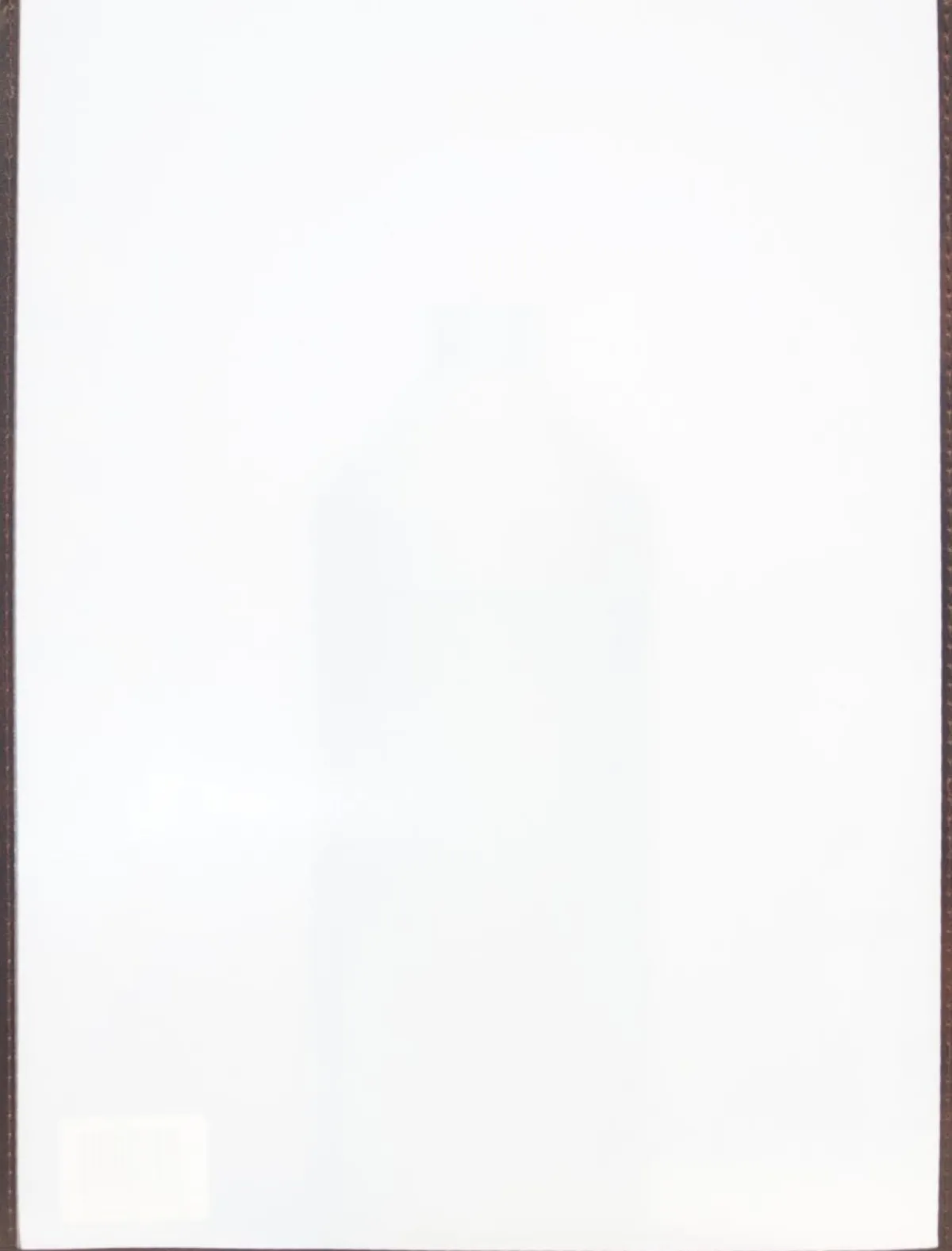 SECURIT Protège-menu rectangulaire transparent (3 pièces) New
