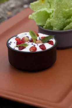 Ramequin rond rouge porcelaine vitrifiée Ø 8 cm Neo Fusion - RAK Clearance