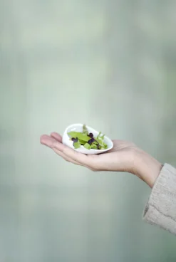 COOKPLAY Repose cuillère porcelaine 7 cm Jomon Discount