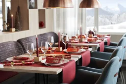 Rouleau tête à tête bordeaux non tissé 0,4x24 m Evolin - DUNI Discount