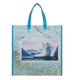 Aucune Sac isotherme plastique blanc 38x44 cm (100 pièces) Sale