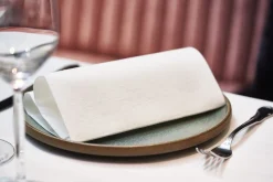 Serviette blanc non tissé 40x40 cm lin (45 pièces) - DUNI Hot