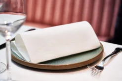 Serviette blanc non tissé 40x40 cm lin (45 pièces) - DUNI Hot