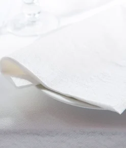 Aucune Serviette blanc ouate de cellulose 48x48 cm (100 pièces) Online