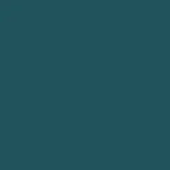 Serviette bleu ocean non tissé 40x40 cm Bio soft (60 pièces) - DUNI Hot