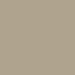 Serviette grège non tissé 40x40 cm Bio soft (60 pièces) - DUNI Discount
