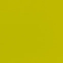 DUNI Serviette kiwi non tissé 40x40 cm Bio soft (60 pièces) Outlet
