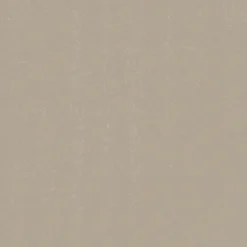 DUNI Serviette taupe non tissé 20x20 cm pliée en 4 soft (180 pièces)