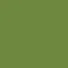Serviette vert feuille non tissé 40x40 cm Bio soft (60 pièces) - DUNI Discount