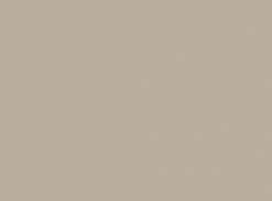 Set de table beige papier 35x45 cm (250 pièces) - DUNI Discount