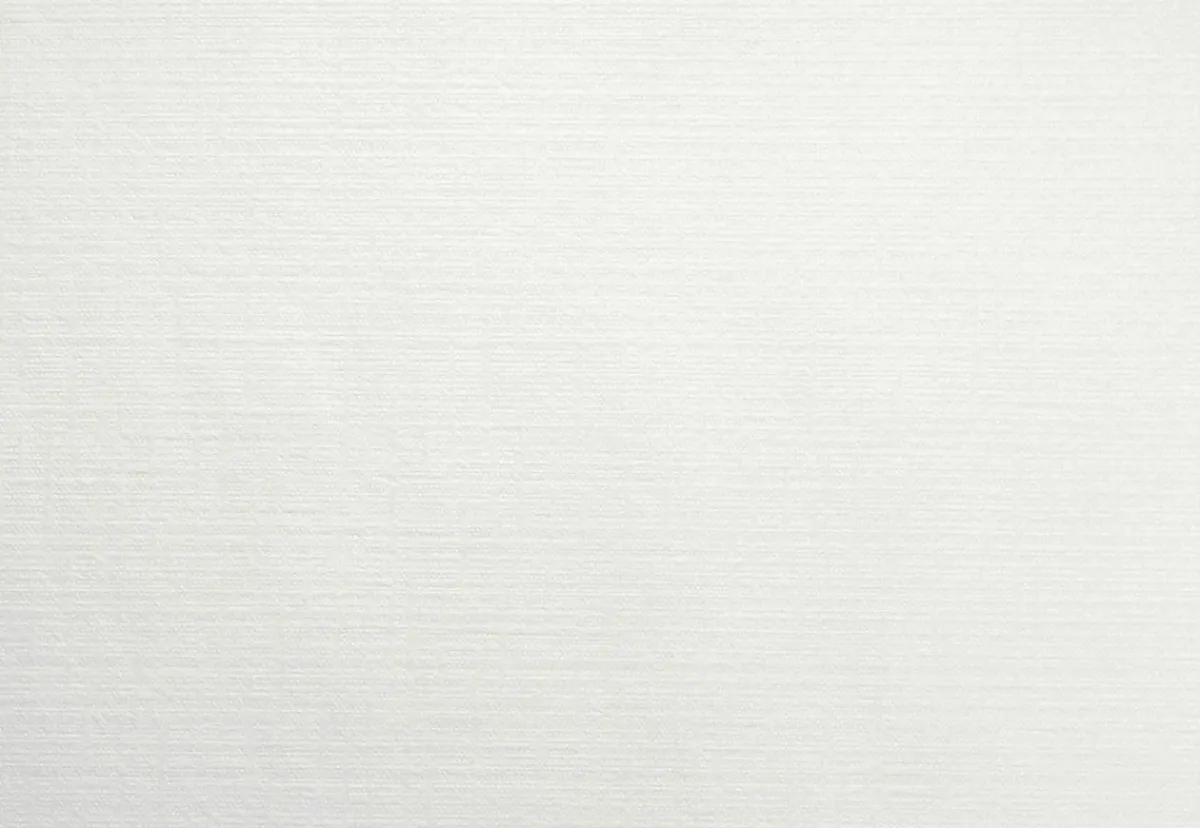 DUNI Set de table blanc non tissé 30x43 cm Evolin (70 pièces) Sale