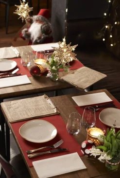 Set de table bordeaux non tissé 30x43 cm Evolin (70 pièces) - DUNI