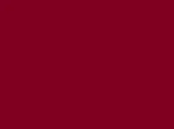 DUNI Set de table bordeaux papier 45x35 cm (250 pièces)
