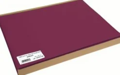 Aucune Set de table bordeaux plastique 30x40 cm (100 pièces)