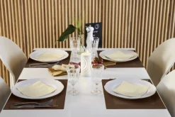 Set de table grège non tissé 30x40 cm Linnea (100 pièces) - DUNI Outlet