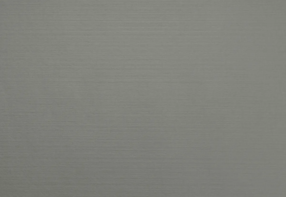 Set de table gris non tissé 30x43 cm Evolin (70 pièces) - DUNI