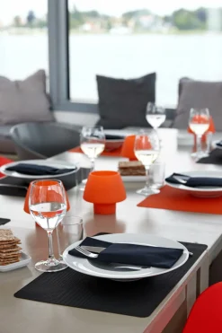 Set de table noir silicone 45x30 cm (30 pièces) - DUNI Outlet