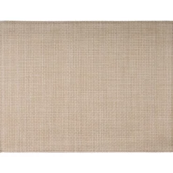 Set de table plastique rectangulaire beige 45x33 cm - APS
